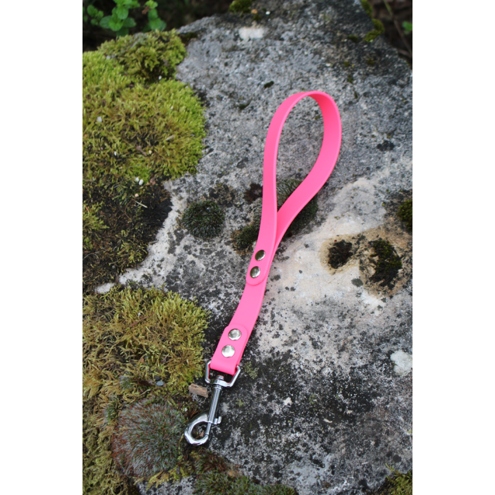 Laisse courte chien